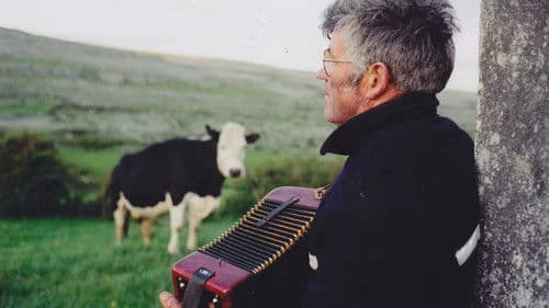 It's Now or Never Bild 3