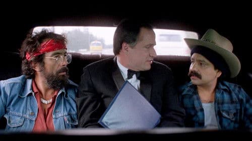 Cheech & Chong - Jetzt raucht gar nichts mehr Bild 3