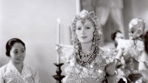 Wilde Orchideen Bild 7