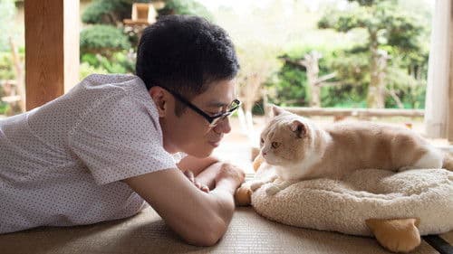 ねこあつめの家 Bild 5