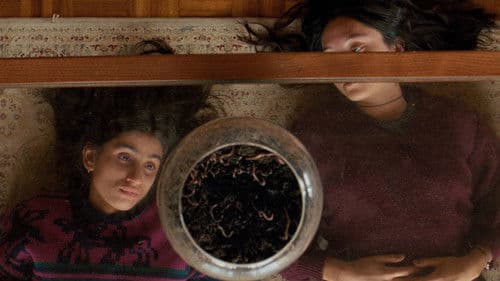 September & July Bild 7