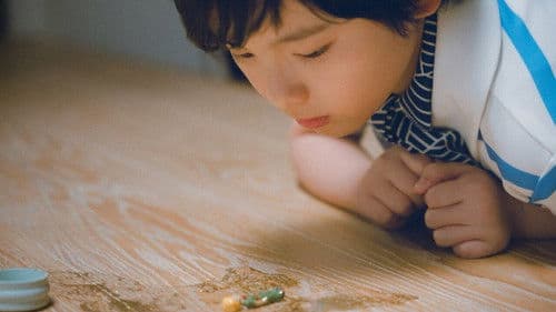 箱の中の羊 Bild 2