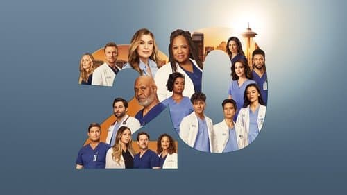 Grey's Anatomy Bild 4