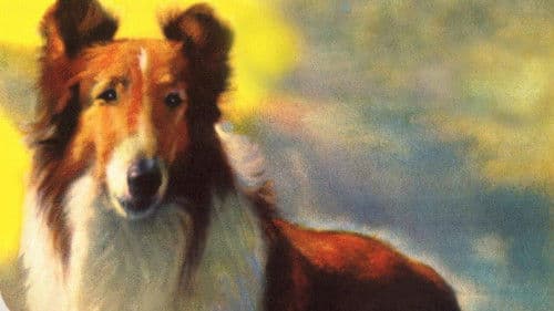 Lassie und die Goldgräber Bild 1