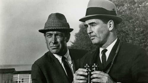 The Doctor and the Playgirl Bild 2