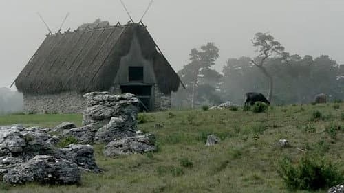 Ingmar Bergman: 3 dokumentärer om film, teatern, Fårö och livet av Marie Nyreröd Bild 4