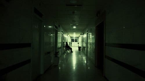 شەوی ئێشکگرێک Bild 1