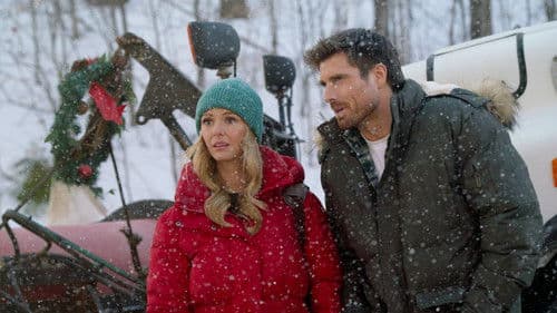 Falling Like Snowflakes - Im Fokus der Liebe Bild 4