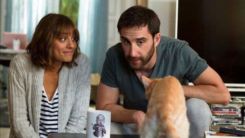 Miamor perdido Bild 1