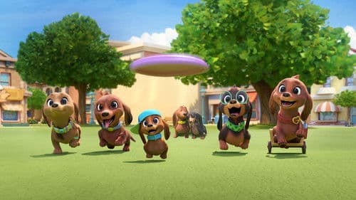 Brezel und seine Dackel-Familie Bild 3