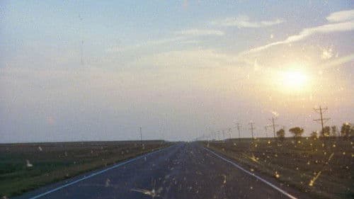 The Brown Bunny Bild 5