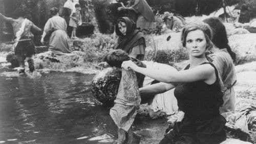 Revanche für Spartacus Bild 1