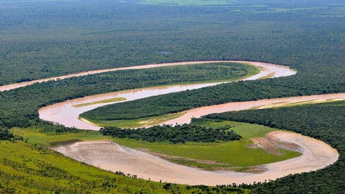 El Silencio del Impenetrable Bild 1