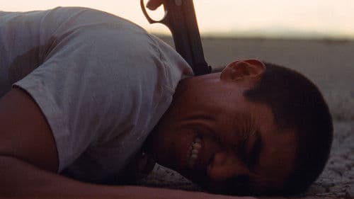 Les oiseaux ivres Bild 4