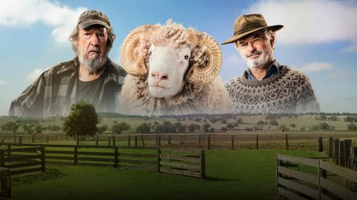 Besser wird's nicht Bild 3