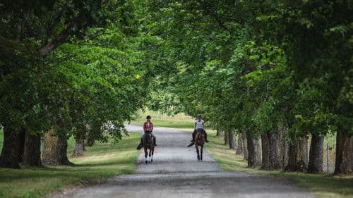 One Half of Me Bild 3