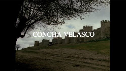 Teresa de Jesús Bild 3