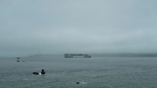 Milestone No. 3 Bild 1