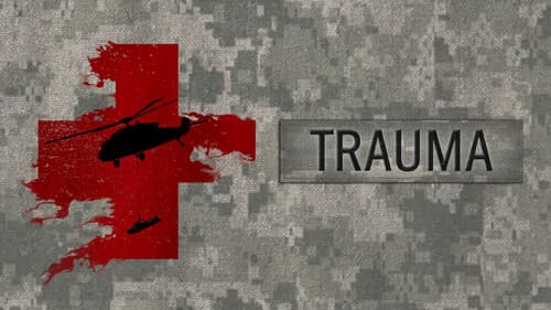 Trauma Bild 1