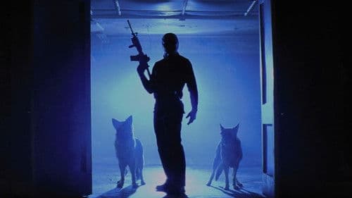 The Collection - The Collector 2 Bild 5