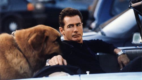 Tequila und Bonetti Bild 2