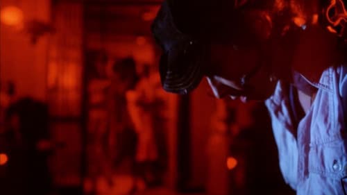 Manila by Night Bild 8