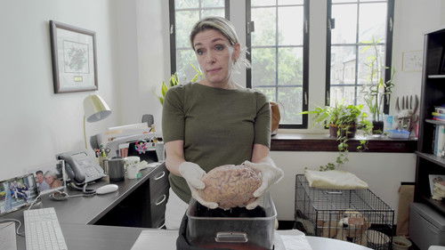 Confessions of a Good Samaritan Bild 5