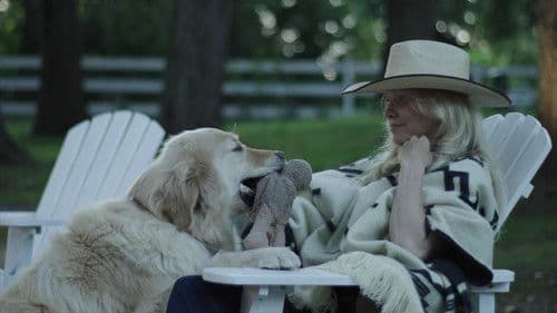 Pamela: Eine Liebesgeschichte Bild 3