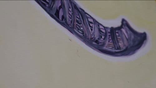 Ի՞նչ-ինչպե՞ս Bild 1