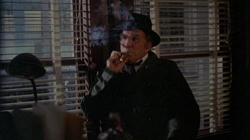 Dixie Ray: Hollywood Star Bild 6