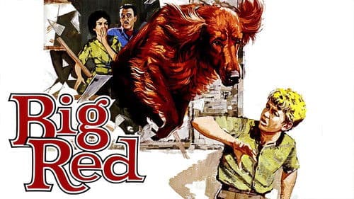 Mein Freund Red Bild 4