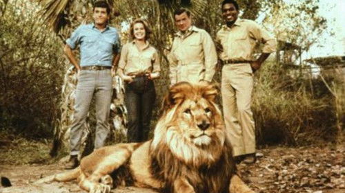 Clarence, der schielende Löwe Bild 1