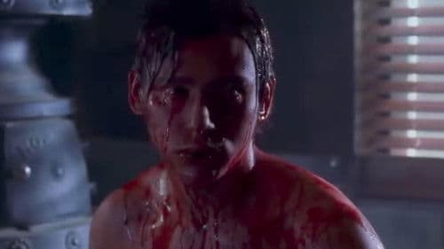 Shallow Ground Bild 6