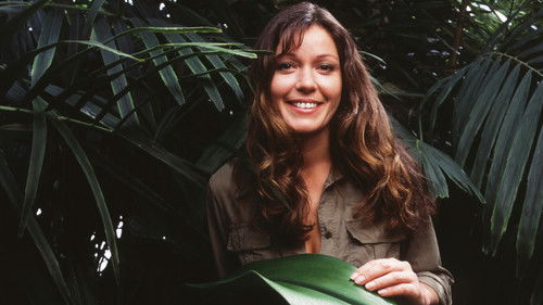 Abenteuer Dschungel Bild 1