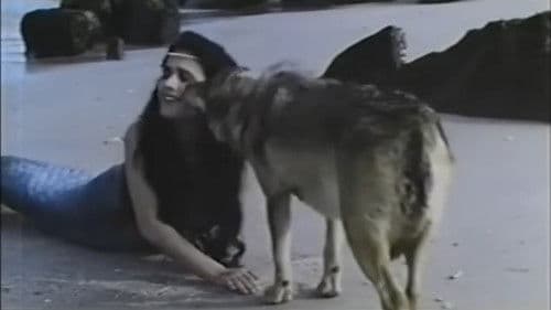 O camiño das estrelas: Galicia Bild 1