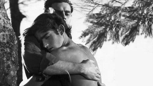 O Menino e o Vento Bild 3