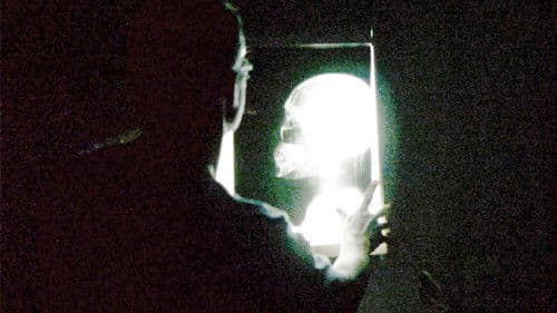 Fogo Selvagem Bild 3