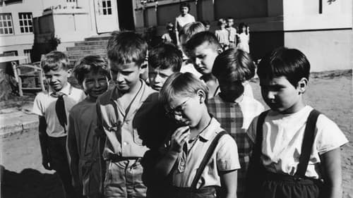 Die Suche nach dem wunderbunten Vögelchen Bild 1