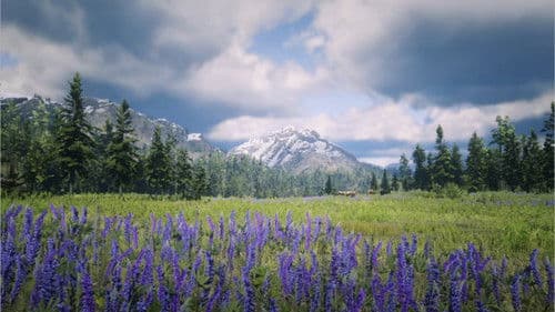 Western Simulacrum Bild 6