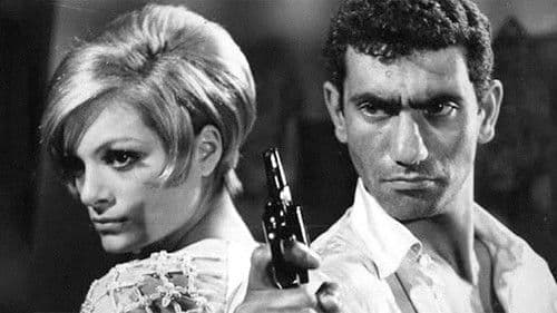 At Hırsızı: Banuş Bild 1