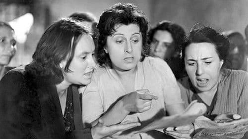 Abgeordnete Angelina Bild 2