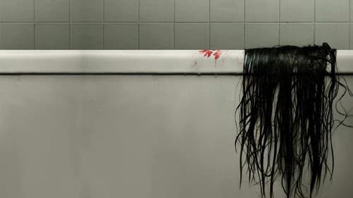 The Grudge Bild 1
