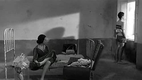 Insel der verbotenen Liebe Bild 2