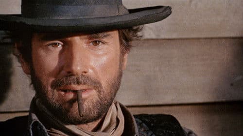 Friedhof ohne Kreuze Bild 2