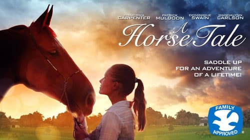 Mein Pferd Holly Bild 5