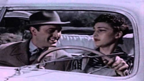 ჭრიჭინა Bild 2