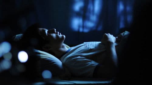 เจ้านกกระจอก Bild 1