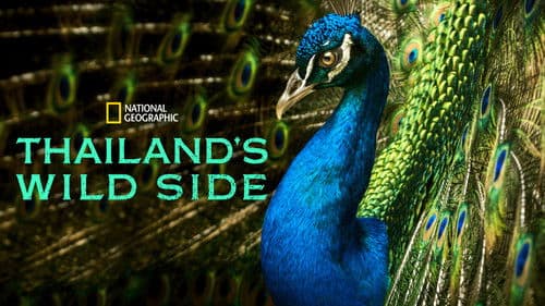 Thailand's Wild Side Bild 6