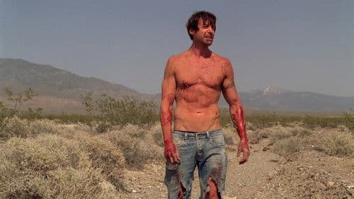 Dark Moon Rising Bild 2