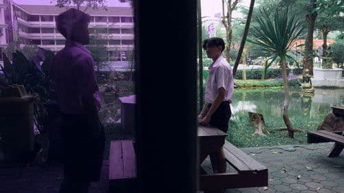 ความลับในฝูงนก Bild 1